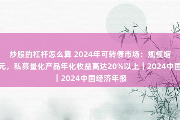 炒股的杠杆怎么算 2024年可转债市场：规模缩水超千亿元，私募量化产品年化收益高达20%以上｜2024中国经济年报