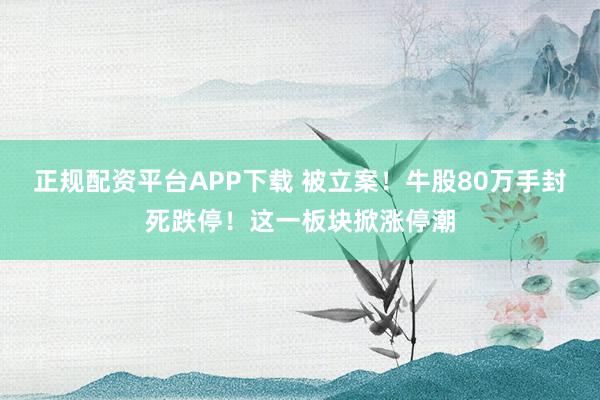 正规配资平台APP下载 被立案！牛股80万手封死跌停！这一板块掀涨停潮