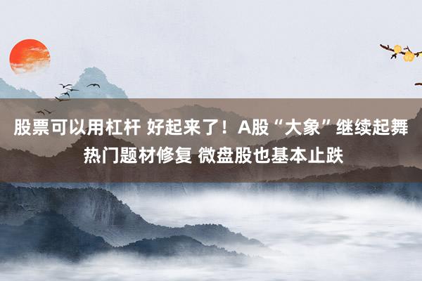 股票可以用杠杆 好起来了！A股“大象”继续起舞 热门题材修复 微盘股也基本止跌