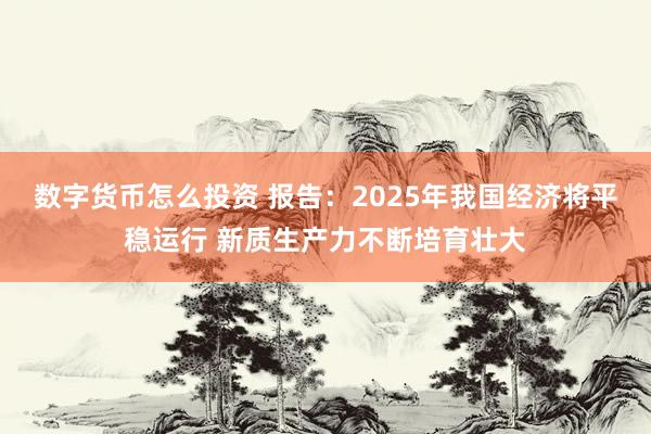 数字货币怎么投资 报告：2025年我国经济将平稳运行 新质生产力不断培育壮大