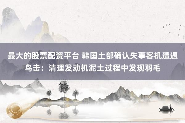 最大的股票配资平台 韩国土部确认失事客机遭遇鸟击：清理发动机泥土过程中发现羽毛