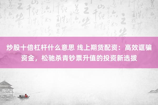 炒股十倍杠杆什么意思 线上期货配资：高效诓骗资金，松驰杀青钞票升值的投资新选拔