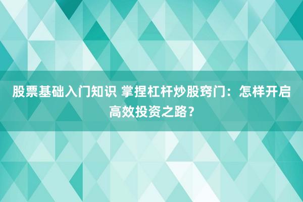 股票基础入门知识 掌捏杠杆炒股窍门：怎样开启高效投资之路？