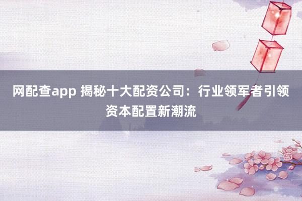 网配查app 揭秘十大配资公司：行业领军者引领资本配置新潮流