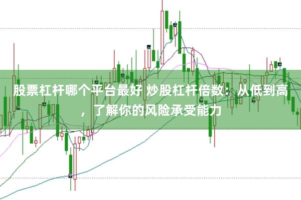 股票杠杆哪个平台最好 炒股杠杆倍数：从低到高，了解你的风险承受能力