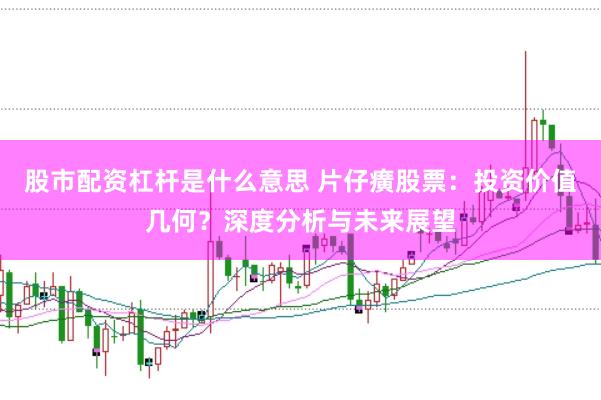 股市配资杠杆是什么意思 片仔癀股票：投资价值几何？深度分析与未来展望