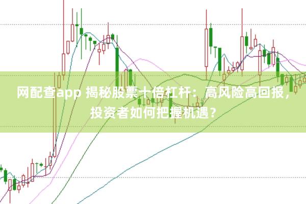 网配查app 揭秘股票十倍杠杆：高风险高回报，投资者如何把握机遇？