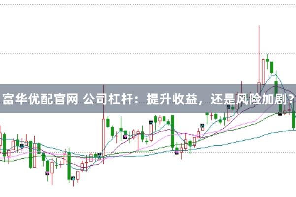 富华优配官网 公司杠杆：提升收益，还是风险加剧？