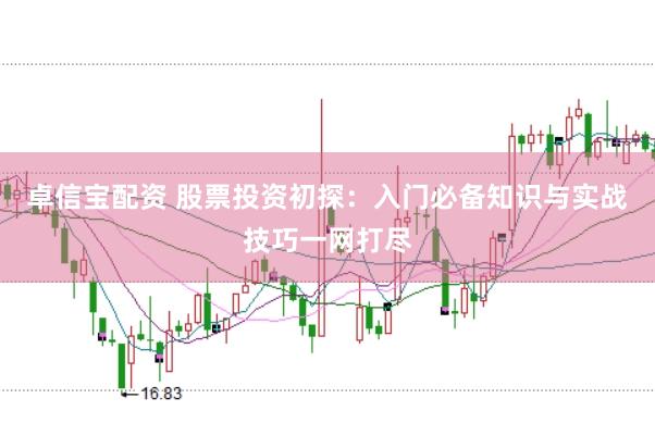 卓信宝配资 股票投资初探：入门必备知识与实战技巧一网打尽