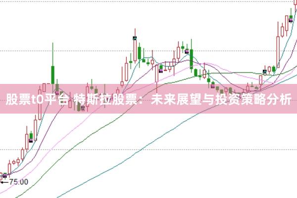 股票t0平台 特斯拉股票：未来展望与投资策略分析