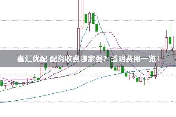 嘉汇优配 配资收费哪家强？透明费用一览！