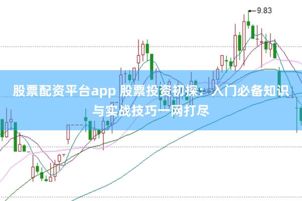 股票配资平台app 股票投资初探：入门必备知识与实战技巧一网打尽