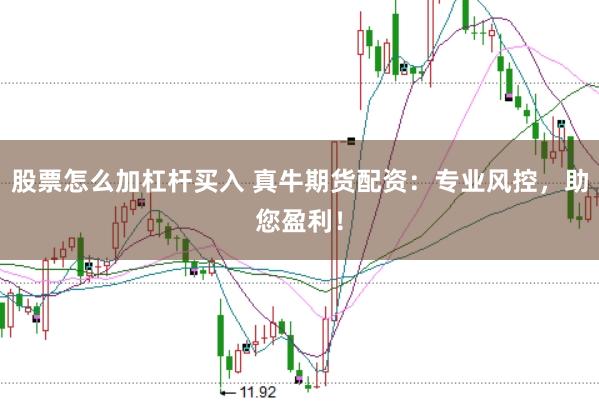 股票怎么加杠杆买入 真牛期货配资：专业风控，助您盈利！
