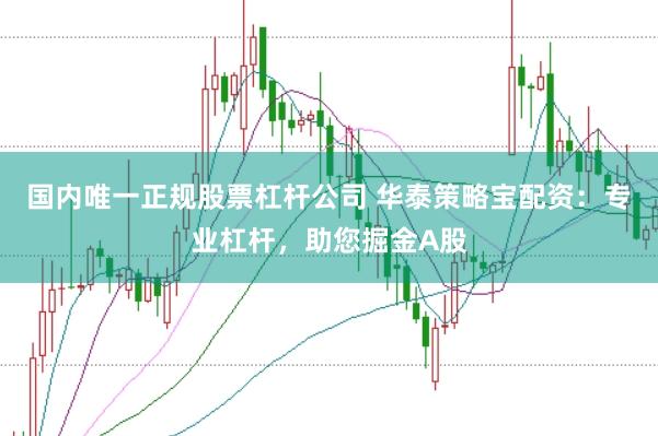 国内唯一正规股票杠杆公司 华泰策略宝配资：专业杠杆，助您掘金A股