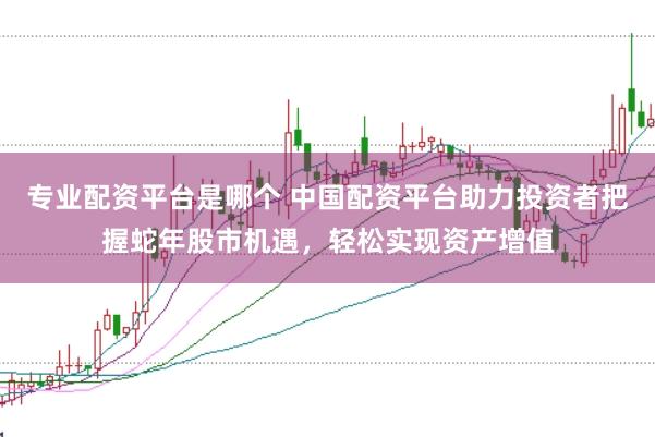 专业配资平台是哪个 中国配资平台助力投资者把握蛇年股市机遇，轻松实现资产增值