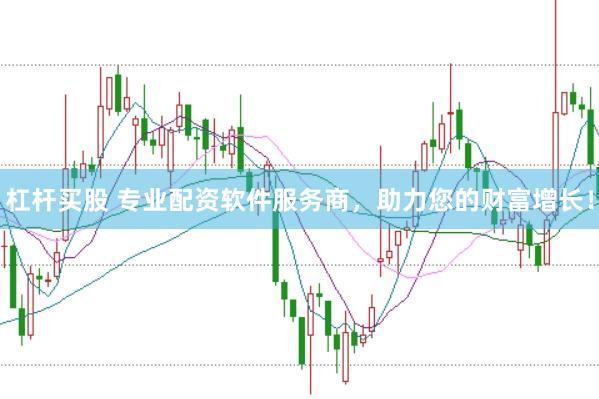 杠杆买股 专业配资软件服务商，助力您的财富增长！