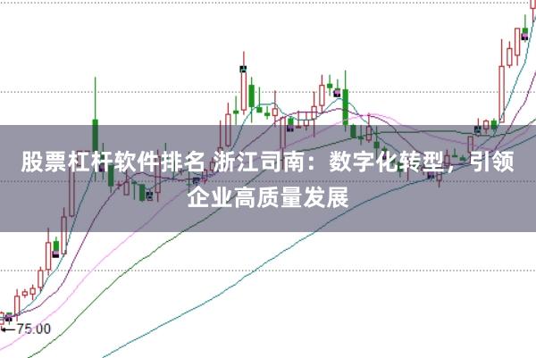 股票杠杆软件排名 浙江司南：数字化转型，引领企业高质量发展