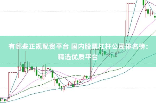 有哪些正规配资平台 国内股票杠杆公司排名榜：精选优质平台