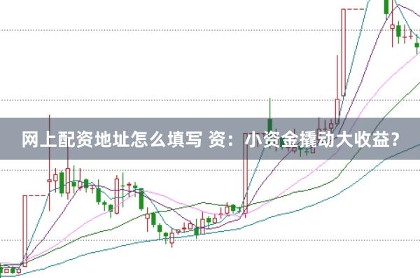 网上配资地址怎么填写 资：小资金撬动大收益？