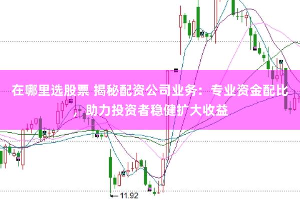 在哪里选股票 揭秘配资公司业务：专业资金配比，助力投资者稳健扩大收益