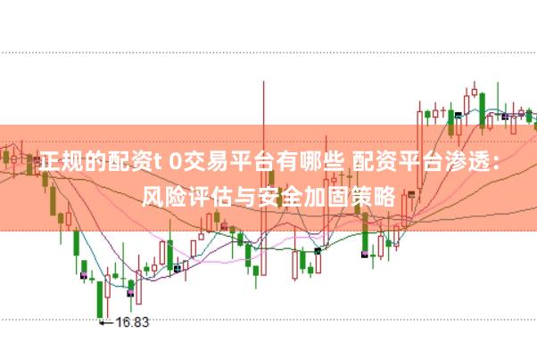 正规的配资t 0交易平台有哪些 配资平台渗透：风险评估与安全加固策略