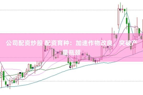 公司配资炒股 配资育种：加速作物改良，突破产量瓶颈