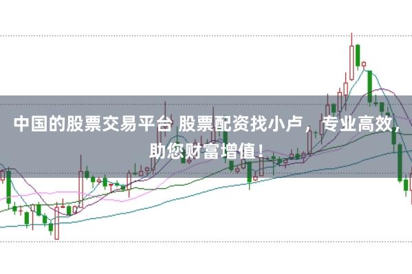 中国的股票交易平台 股票配资找小卢，专业高效，助您财富增值！