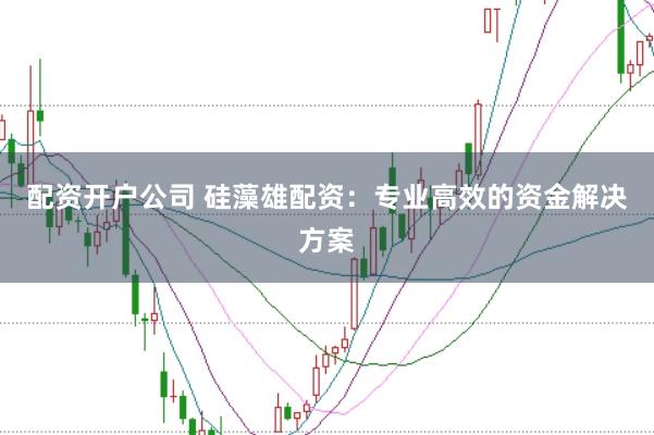 配资开户公司 硅藻雄配资：专业高效的资金解决方案