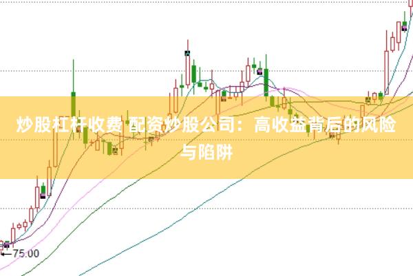 炒股杠杆收费 配资炒股公司：高收益背后的风险与陷阱