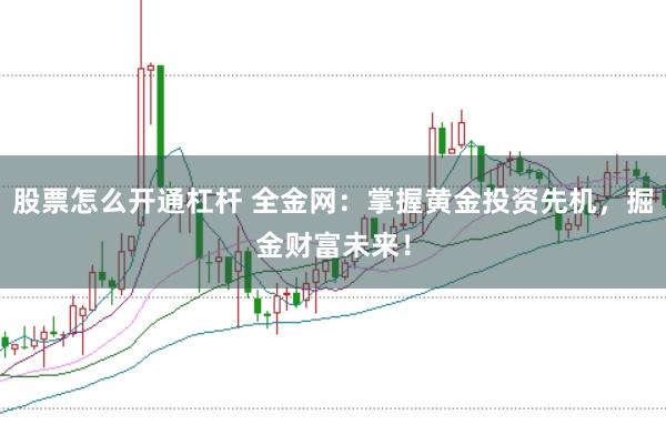 股票怎么开通杠杆 全金网：掌握黄金投资先机，掘金财富未来！
