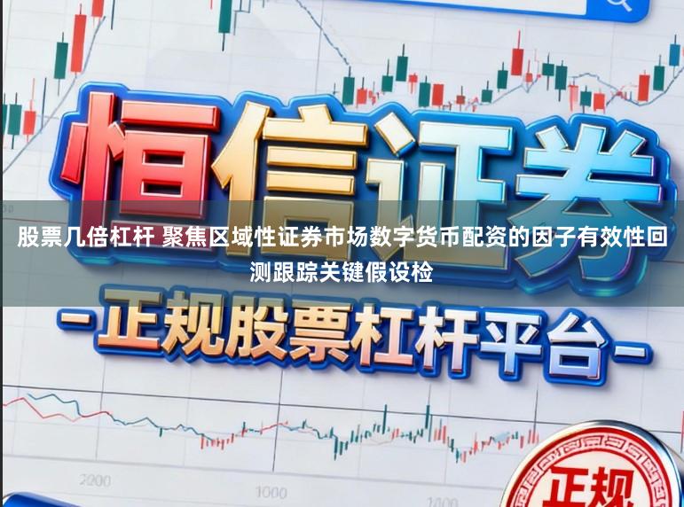 股票几倍杠杆 聚焦区域性证券市场数字货币配资的因子有效性回测跟踪关键假设检