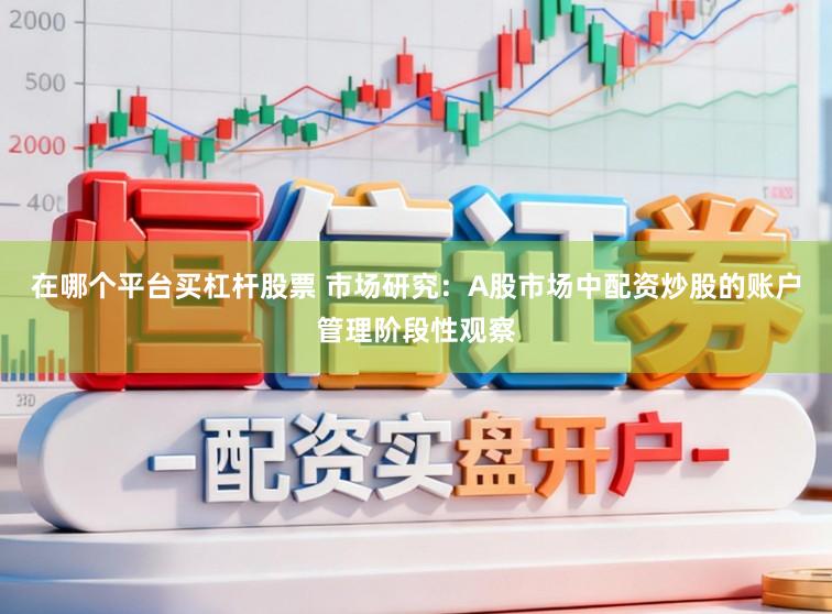 在哪个平台买杠杆股票 市场研究：A股市场中配资炒股的账户管理阶段性观察